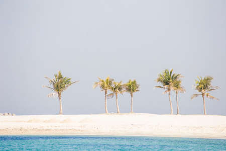 Tropical beach with sea wave on the sand and palm treesの写真素材