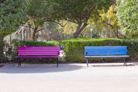 two colored benches in the city park seat for loving couplesの写真素材