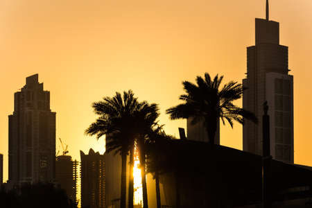 silhouette of city skyscrapers and palm trees on a yellow sunset background.の写真素材