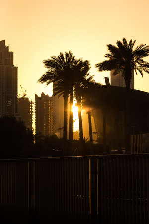 silhouette of city skyscrapers and palm trees on a yellow sunset background.の写真素材