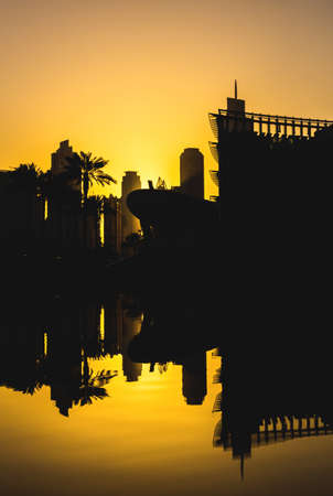 skyscrapers and palms reflected in the water against the sunset in Dubaiの写真素材