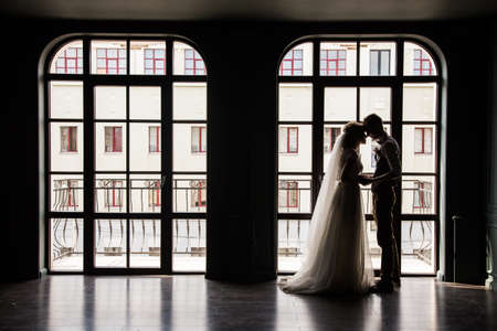 portrait of a young beautiful couple, silhouette against the background of the window of the newlyweds bride and groom, black and white photographyの写真素材