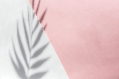 Top view on pink  with sunlightの写真素材