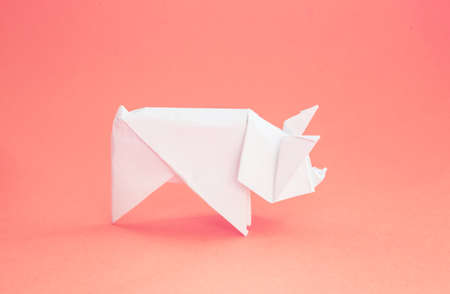 Chinese Zodiac Sign Year of Pig, Red paper cut pig, Happy New Year 2019 year.の写真素材