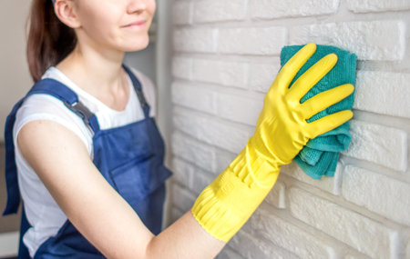 Cleaning service with professional equipment during work. professional kitchenette washing, sofa dry...