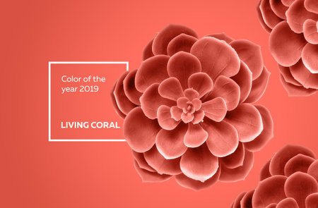 Color of the year 2019 Living Coral, succulent background