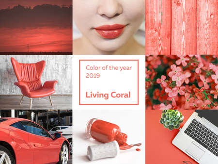 Collage Color of the year 2019 Living Coral. Livingcoralの写真素材