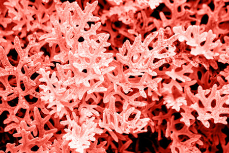 plant deer horns close up for background close up Color of the year 2019 living coral. livingcoral