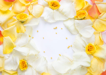 Minimal style. Minimalist Fashion photography. Pink rose petals set on white background. Flatlay....