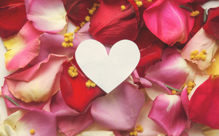 Minimal style. Minimalist Fashion photography. Pink rose petals set on white background. Flatlay....
