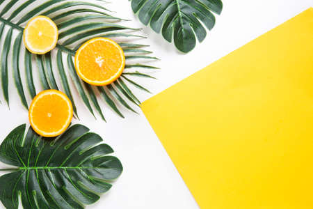 Creative hipster tropical leaves and orange fruit background with copy space on bright background. Tropical concept. flatlayの写真素材
