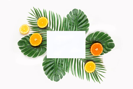 Creative hipster tropical leaves and orange fruit background with copy space on bright background....