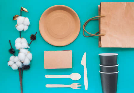 Eco friendly disposable dishes made paper on colorの写真素材