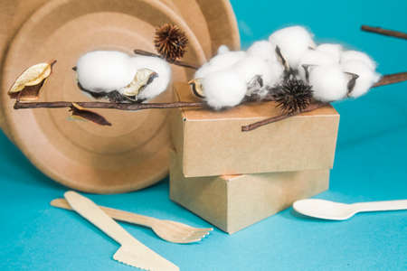 Eco friendly disposable dishes made paper on colorの写真素材