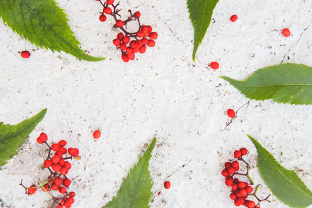 Creative arrangement made of rowan on white concrete texture.の写真素材