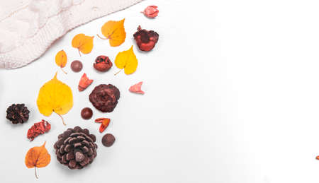Autumn composition Fallen yellow autumn leaves, cones and flowers on the table flat layの写真素材