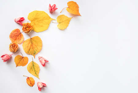 Autumn composition Fallen yellow autumn leavesの写真素材