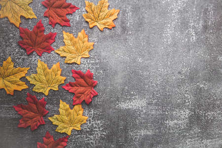 autumn leaves and white pumpkins on a gray background. flat lay composition, copyspace for textの写真素材