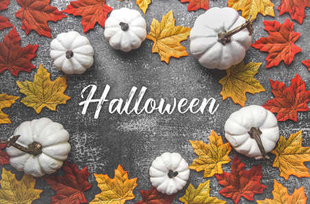 autumn leaves and white pumpkins on a gray background. flat lay composition, copyspace for textの写真素材