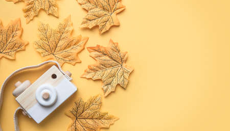 Creative Flatlay fashion style with camera and fall leaves on pastel color background. Travel autumnconcept. free space for text.の写真素材