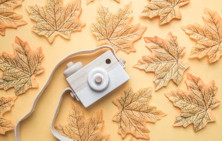 Creative Flatlay fashion style with camera and fall leaves on pastel color background. Travel autumnconcept. free space for text.の写真素材
