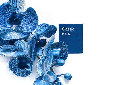 Orchid flower in color of the year blue.の写真素材