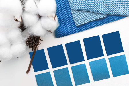 designer desktop. Color sample guide blue