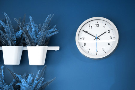 clock and decoration of plants in a pot on the wall , color 2020 classic blue.