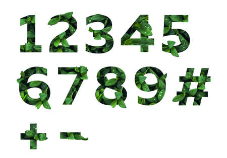 numbers and signs. Green Font Collection of Leaves English Alphabet, isolated on white background. summer and eco concept ideaの写真素材