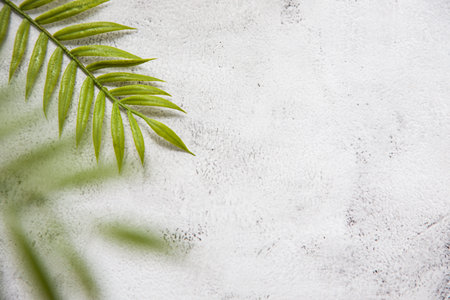 floral concept with green palm leaves on gray marble background top view mock-up, flatlay nature...