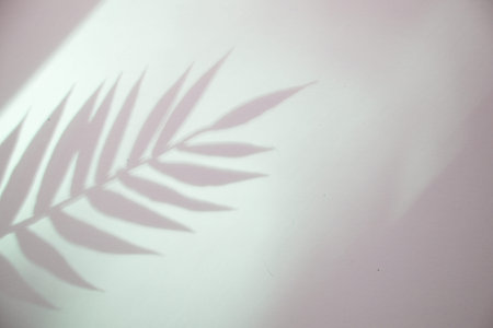 Top view on pink background with sunlight and shadow of coconut, tropical leaves. travel concept,...