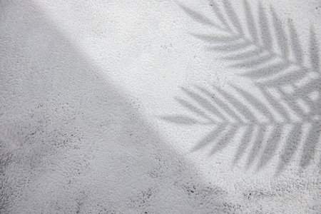 Top view on pink background with sunlight and shadow of coconut, tropical leaves. travel concept, shadow flatlay palm.の写真素材