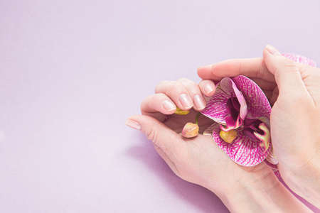 female hands with manicure and orchid on a flower backgroundの写真素材
