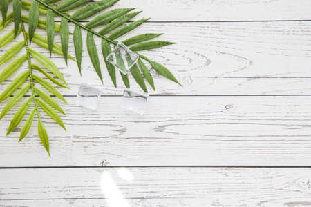 floral concept with green palm leaves on gray wood background top view mock-up, flatlay nature whiteの写真素材