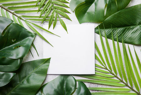 tropical palm leaves with white card, text box. Flat lay, nature concept, mockup.の写真素材