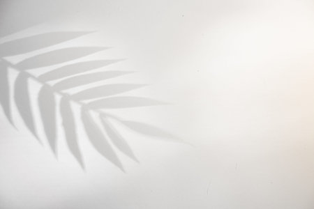 Top view on pink background with sunlight and shadow of coconut, tropical leaves. travel concept,...