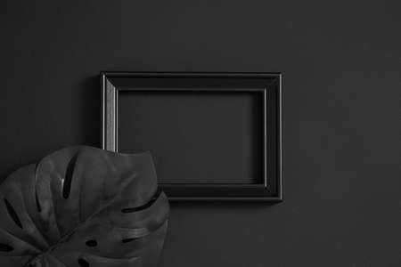 black frame on black background and monstera palm leaf. background for textの写真素材