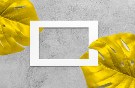 Green monstera palm leaf nature with white frame text box for presentation background or texture - natural or environment concept. Color 2021 illuminating and Ultimate Gray.の写真素材