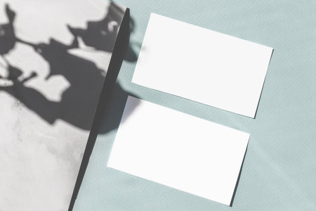 Mock up blank orizontal paper business cards, shadow overlay plant on pastel green background....