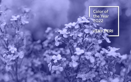 Macro image of spring lilac violet flowers,very periの写真素材