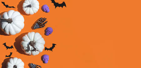 Halloween decorations bats, pumpkins and skulls on color background. Halloween concept. Flat lay, top view, copy spaceの写真素材
