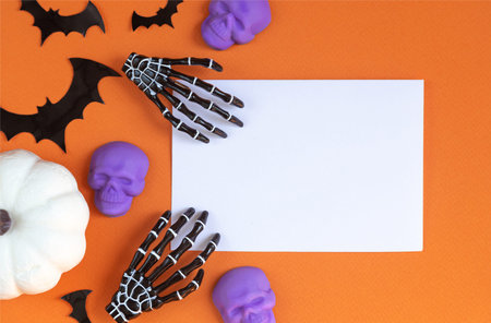 Halloween decorations bats, pumpkins and skulls on color background. Halloween concept. Flat lay, top view, copy spaceの写真素材