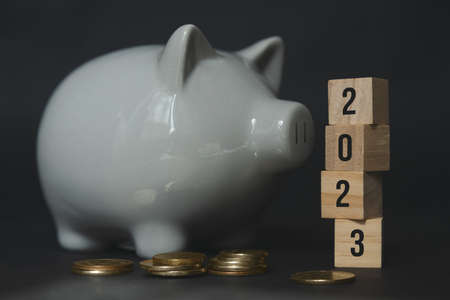Business and finance concept. number 2023 on piggy bank, budget on new yearの写真素材