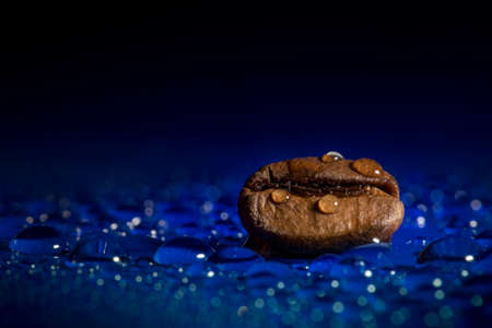 Wet coffee bean macroの写真素材