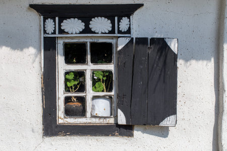 Old clay house window with plants inside
