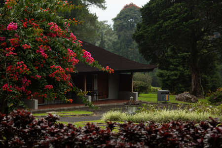 Magnificent view of the summer house in the mountainsの写真素材