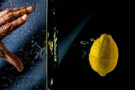close-up. object shooting. lemon in waterの写真素材