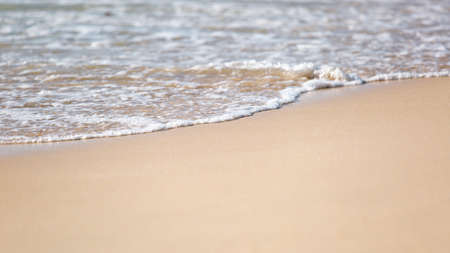 amazing view of the wild beachの写真素材