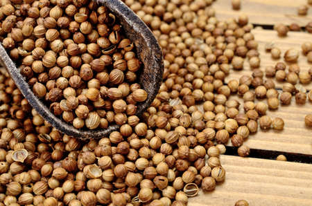 coriander seed on wooden tableの写真素材