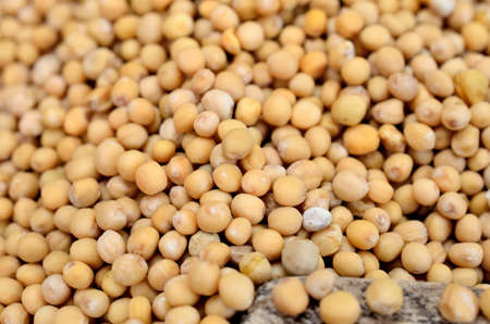 mustard seed on wooden tableの写真素材